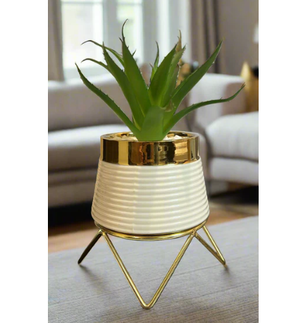 Ceramic Aloe vera Planter for Home Decor