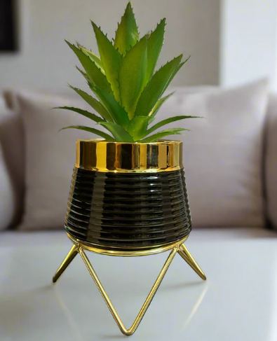 Ceramic Aloe vera Planter for Home Decor