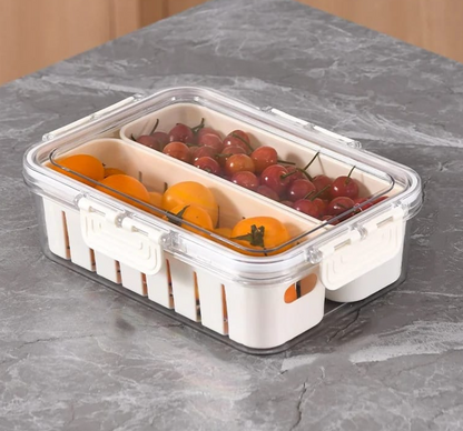 Compartment Refrigerator Box With Lid & Handle